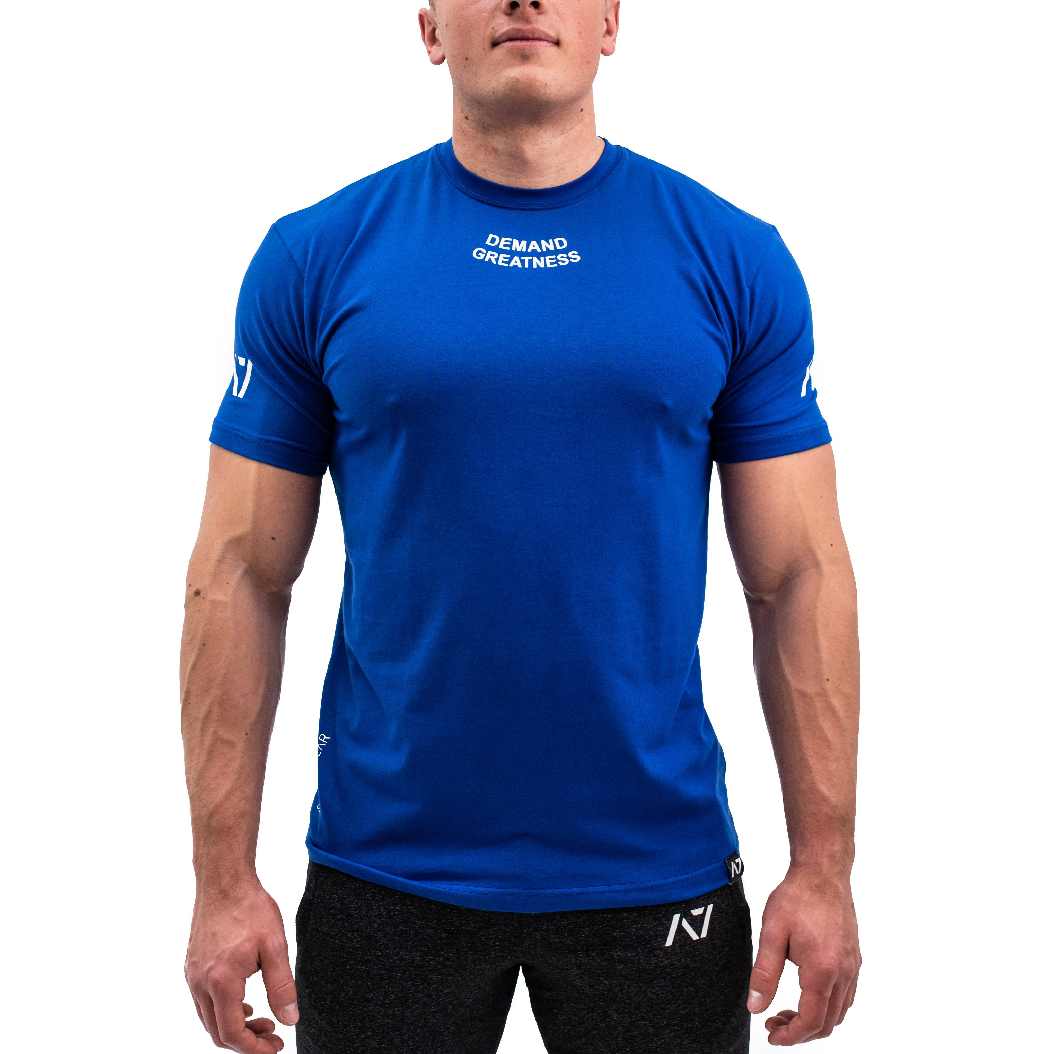 Demand Greatness IPF Approved Logo Men's Meet Shirt - Blue